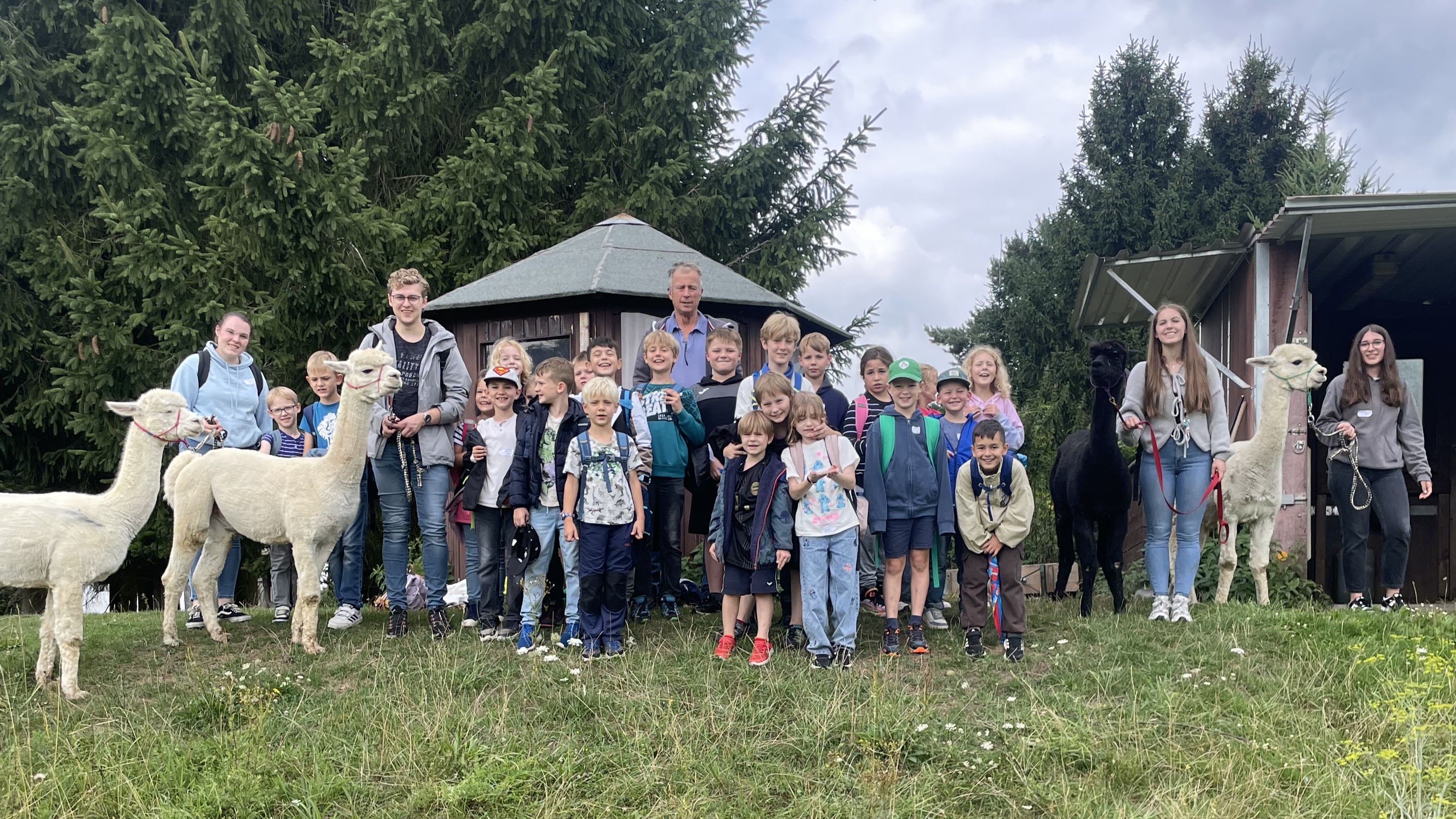 Gemeinsam mit Alpakas wanderten die Pnz der Unkeler Ferienfreizeit ber die Bruchhausener Hhe 
Foto: Hendrik Mller
